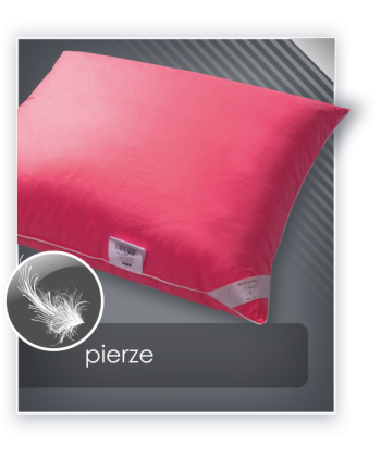 pierze-poduszka-pierze (1).jpg